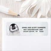 冬の雪かわいい小さなペンギン ラベル (インサイチュ)