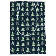 冬の雪が多い常緑樹