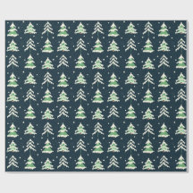 冬の雪が多い常緑樹