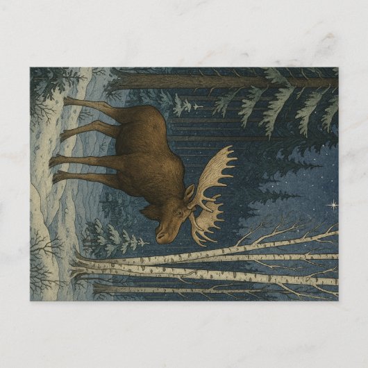 冬の雪にメインムース ポストカード (正面)