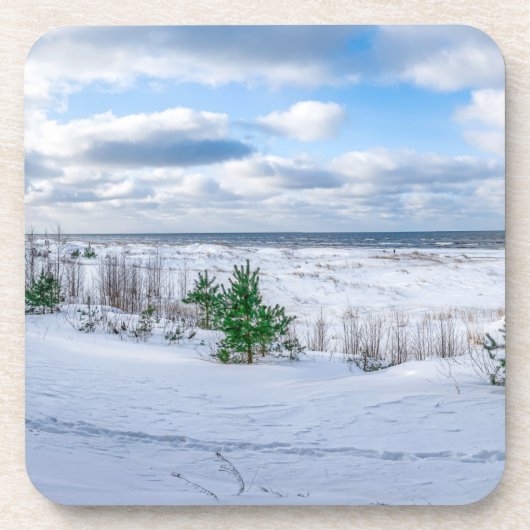 冬の雪に覆われたバルト海沿岸 コースター (正面)