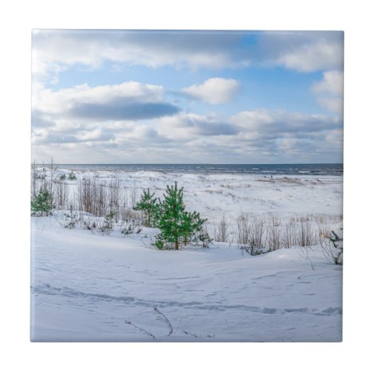 冬の雪に覆われたバルト海沿岸 タイル (正面)