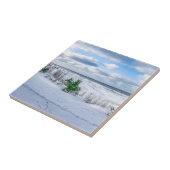 冬の雪に覆われたバルト海沿岸 タイル (側面)