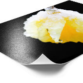 冬の雪に覆われた黄色の水仙 フォトプリント            (角)