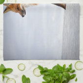 冬の雪に赤いキツネ キッチンタオル (折り畳み)