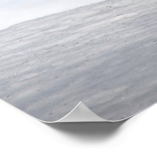 冬の雪に赤いキツネ ポスター (角)