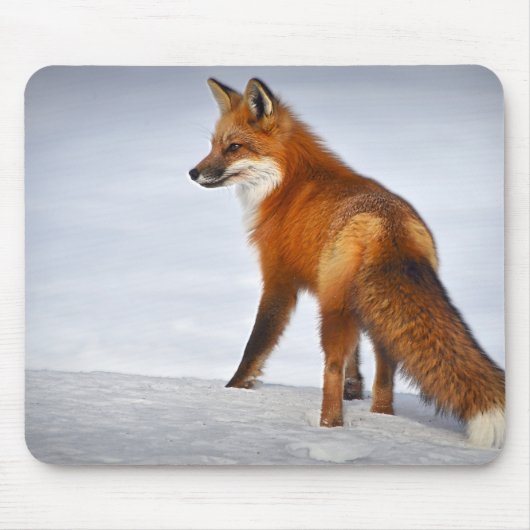 冬の雪に赤いキツネ マウスパッド (正面)