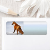 冬の雪に赤いキツネ ラベル (インサイチュ)