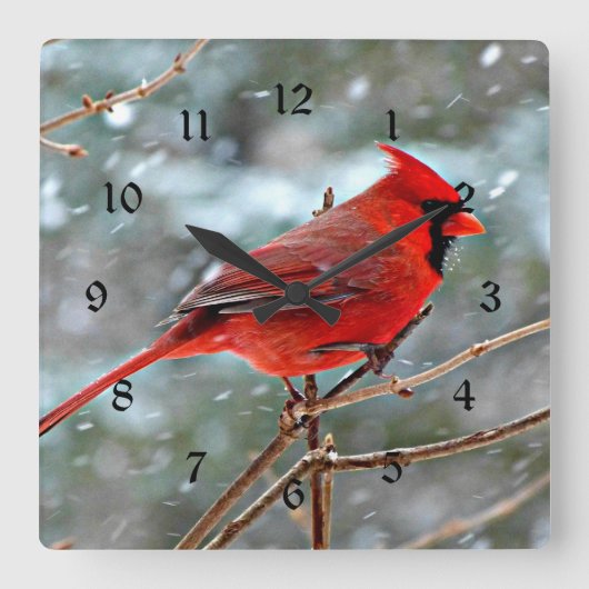 冬の雪に赤い（鳥）ショウジョウコウカンチョウ スクエア壁時計 (正面)