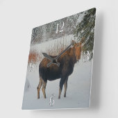 冬の雪に野生のカナダムースIV スクエア壁時計 (傾斜)