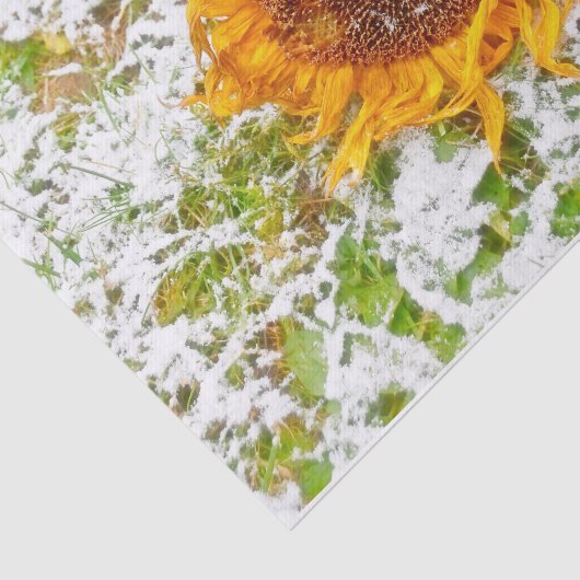 冬の雪に黄色のひまわり切り離し 薄葉紙 (詳細)