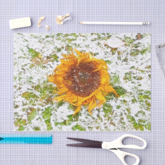 冬の雪に黄色のひまわり切り離し 薄葉紙 (クラフト)