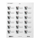 冬の雪のクリスマスにムース ラベル (フルシート)