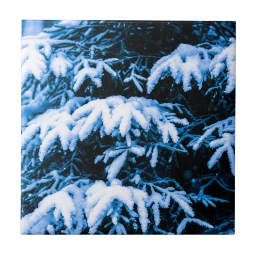 冬の雪のクリスマスツリー タイル (正面)