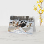 冬の雪のグリーティングカードにアヒル カード (黄色い花)