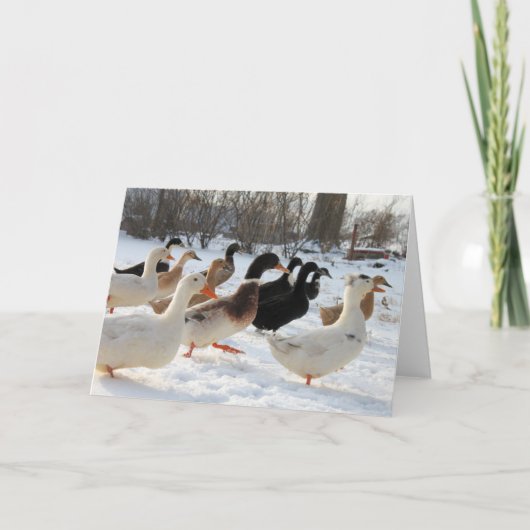 冬の雪のグリーティングカードにアヒル カード (正面)