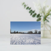 冬の雪のサッカー場 ポストカード (スタンド正面)
