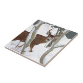 冬の雪のシカの木びき台 タイル (側面)