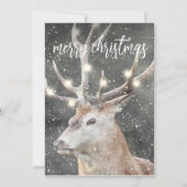 冬の雪のトナカイ 招待状 (正面)