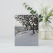 冬の雪のベンチ ポストカード (スタンド正面)