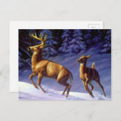 冬の雪のホワイトテールディアバック&ドー ポストカード (正面/裏面)