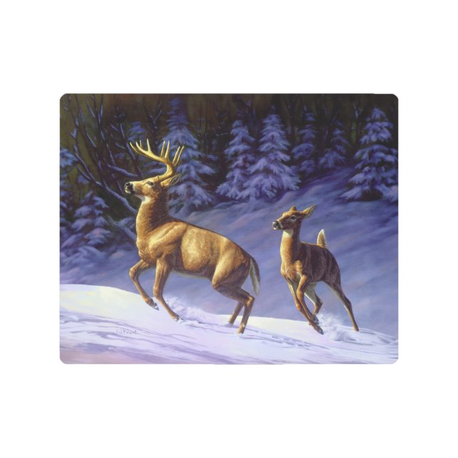 冬の雪のホワイトテールディアバック&ドー メタルプリント (正面)