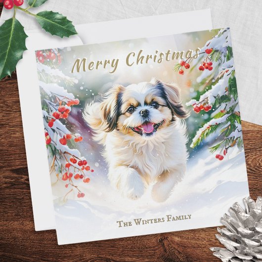 冬の雪の中のシーズー犬 メリークリスマス シーズンカード