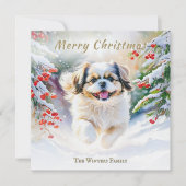 冬の雪の中のシーズー犬 メリークリスマス シーズンカード (正面)