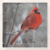 冬の雪の中のチョンキーブライトレッド男性（鳥）ショウジョウコウカンチョウ ガラスコースター (正面)