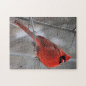 冬の雪の中のチョンキーブライトレッド男性(鳥)ショウジョウコウカンチョウ ジグソーパズル (横)