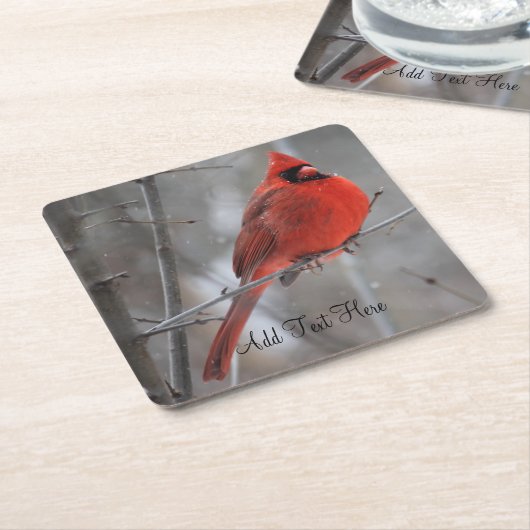 冬の雪の中のチョンキーブライトレッド男性（鳥）ショウジョウコウカンチョウ スクエアペーパーコースター (アングル)