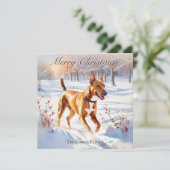 冬の雪の中のファラオ・ハウンド クリスマス (スタンド正面)