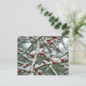 冬の雪の中の赤い果実 ポストカード (スタンド正面)