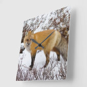 冬の雪の中の赤狐 スクエア壁時計 (傾斜)