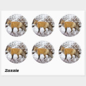 冬の雪の中の赤狐 ラウンドシール (シート)