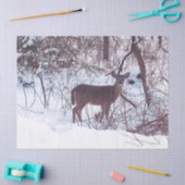 冬の雪の中の鹿　フォトティッシュペーパー 薄葉紙 (クラフト)