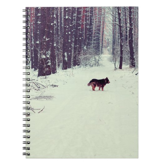 冬の雪の多い松林、野原の犬歩く ノートブック (正面)