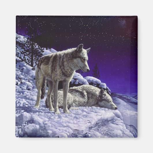 冬の雪の夜に灰色の狼 マグネット (正面)