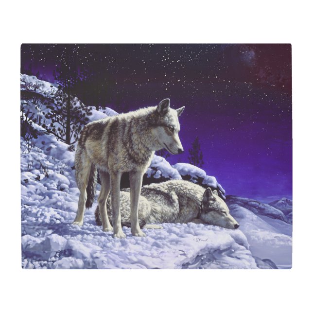 冬の雪の夜に灰色の狼 メタルプリント (正面)