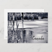 冬の雪の影白黒カナダお土産 ポストカード (正面/裏面)