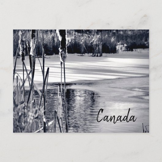 冬の雪の影白黒カナダお土産 ポストカード (正面)