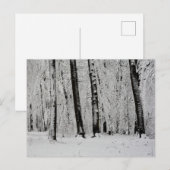 冬の雪の木々 ポストカード (正面/裏面)