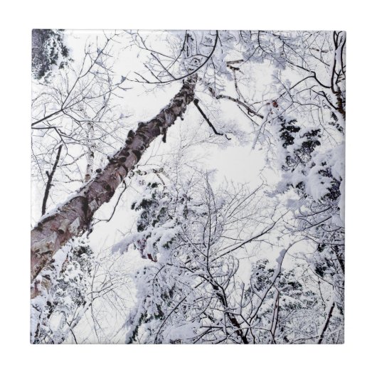 冬の雪の木々 森林 1 タイル (正面)
