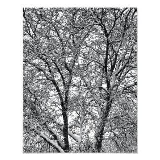 冬の雪の木の枝の写真プリント フォトプリント           