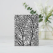冬の雪の木の枝の写真 ポストカード (スタンド正面)