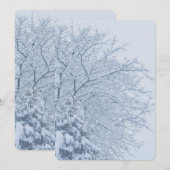 冬の雪の木の枝 招待状 (正面/裏面)