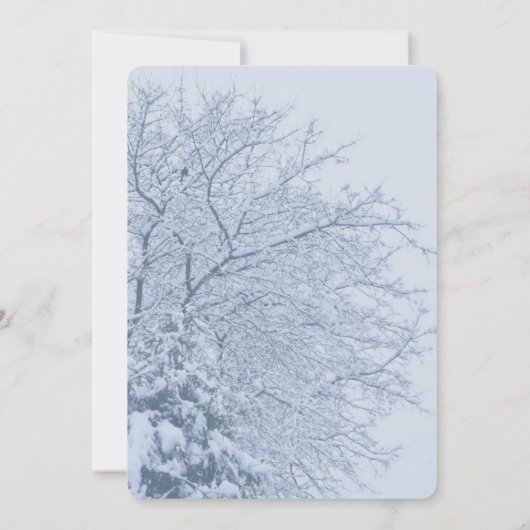 冬の雪の木の枝 招待状 (裏面)
