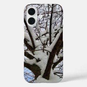 冬の雪の木の王冠の写真 –  iPhone 16ケース