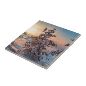 冬の雪の海の海岸の夕日 タイル (側面)