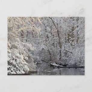 冬の雪の穏やかな水景 ポストカード